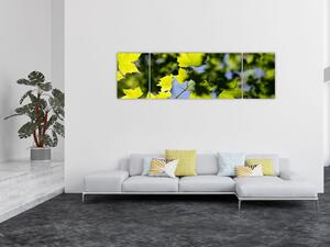 Obraz - liście klonu (170x50 cm)