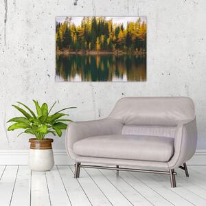 Obraz leśnego jeziora (70x50 cm)