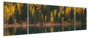 Obraz leśnego jeziora (170x50 cm)