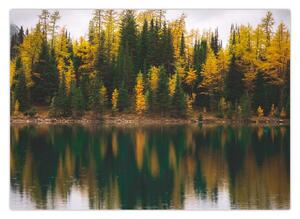 Obraz leśnego jeziora (70x50 cm)