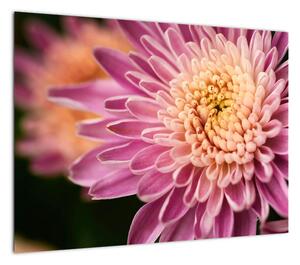 Szczegółowy obraz kwiatu (70x50 cm)