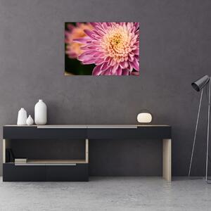 Szczegółowy obraz kwiatu (70x50 cm)