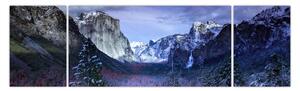 Obraz zimowego górskiego krajobrazu (170x50 cm)