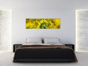 Obraz słonecznika (170x50 cm)