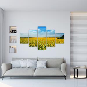 Obraz - ciąg słoneczników (125x70 cm)