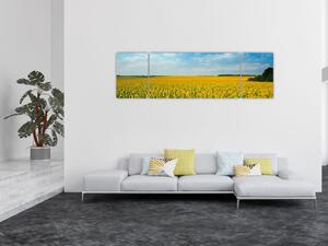 Obraz - ciąg słoneczników (170x50 cm)