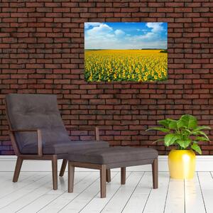 Obraz - ciąg słoneczników (70x50 cm)