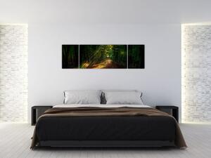 Obraz leśnej ścieżki (170x50 cm)