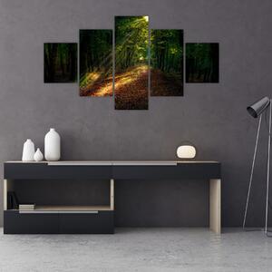 Obraz leśnej ścieżki (125x70 cm)