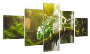 Obraz kameleona (125x70 cm)