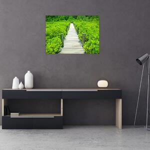 Obraz - drewniany chodnik (70x50 cm)