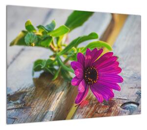 Obraz ciętego kwiatu (70x50 cm)