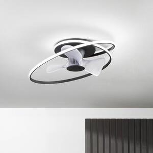 INTEC Wentylator sufitowy LED Storm, czarno-biały, Ø 77 cm CCT, cichy możliwość ściemniania, czarny, salon / jadalnia, metal, nowoczesny