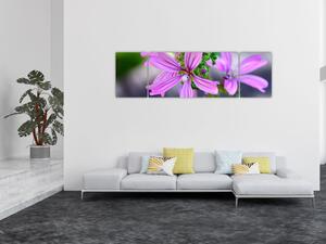 Zbliżenie kwiatu (170x50 cm)