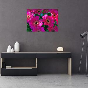Obraz - kwiaty (70x50 cm)