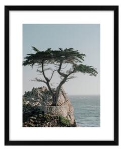 Obraz 40x50 cm View – knor