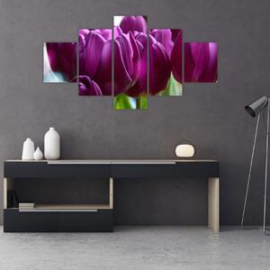 Obraz tulipanów (125x70 cm)