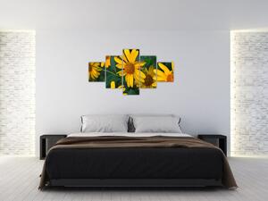 Obraz żółtych kwiatów (125x70 cm)