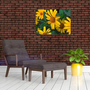 Obraz żółtych kwiatów (70x50 cm)