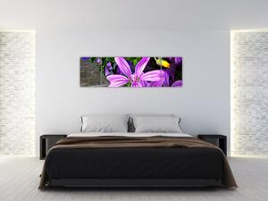 Obraz - kwiaty polne (170x50 cm)