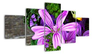 Obraz - kwiaty polne (125x70 cm)