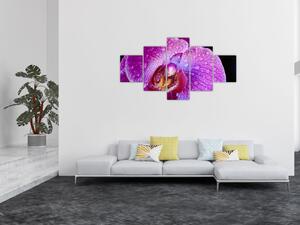 Zbliżenie kwiatu orchidei (125x70 cm)