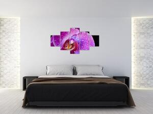 Zbliżenie kwiatu orchidei (125x70 cm)