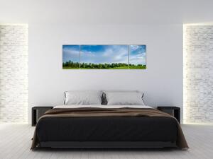 Obraz łąki (170x50 cm)