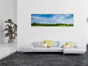 Obraz łąki (170x50 cm)