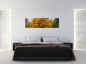 Obraz drzewa (170x50 cm)
