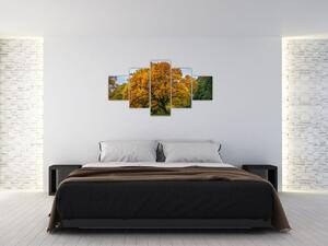 Obraz drzewa (125x70 cm)