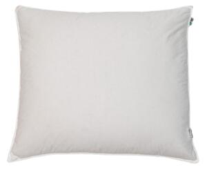 Poduszka Puchowa 70x80cm 1,05KG (biała)