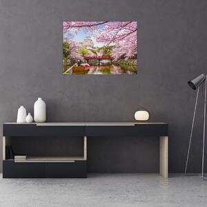 Obraz wiśni japońskiej (70x50 cm)