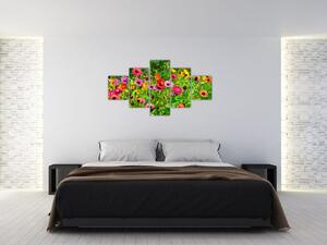 Obraz kwiatów polnych (125x70 cm)