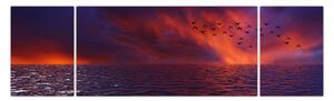 Obraz morza z ptakami (170x50 cm)