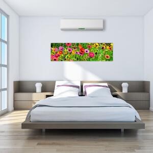 Obraz kwiatów polnych (170x50 cm)
