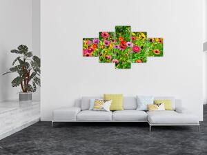Obraz kwiatów polnych (125x70 cm)