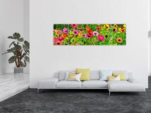 Obraz kwiatów polnych (170x50 cm)