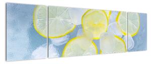 Obraz cytryn w lodzie (170x50 cm)