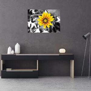 Obraz żółtego kwiatu (70x50 cm)