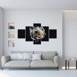 Obraz białej róży (125x70 cm)