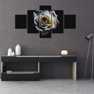 Obraz białej róży (125x70 cm)