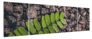 Obraz zielonej rośliny (170x50 cm)