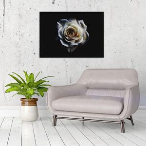 Obraz białej róży (70x50 cm)