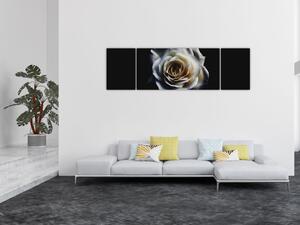 Obraz białej róży (170x50 cm)