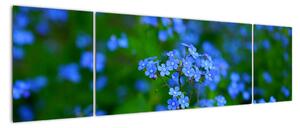 Obraz niebieskich kwiatów (170x50 cm)