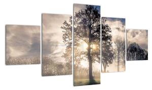 Obraz drzewa we mgle (125x70 cm)