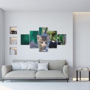 Obraz kotków (125x70 cm)