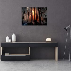 Obraz ciemnego lasu (70x50 cm)