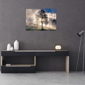 Obraz drzewa we mgle (70x50 cm)